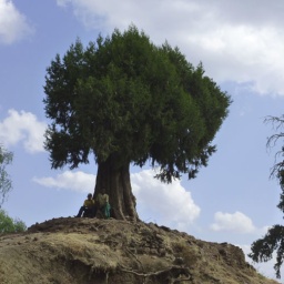 aethiopien_rundreise32