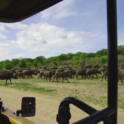 zambia_botswana_suedafrika11