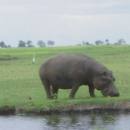 zambia_botswana_suedafrika14