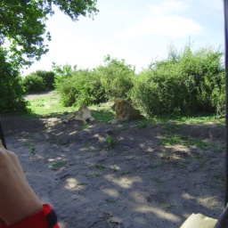 zambia_botswana_suedafrika16