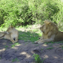 zambia_botswana_suedafrika17