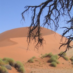 namibia36