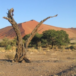 namibia49
