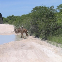 namibia6