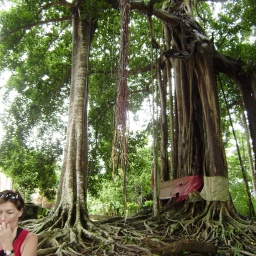 kreuzfahrt_indischer_ozean17