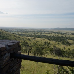 tansania_sansibar_2015_106