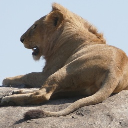 tansania_sansibar_2015_113