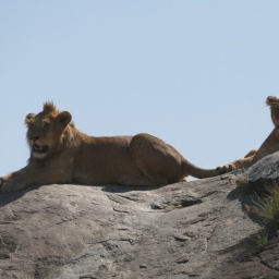 tansania_sansibar_2015_115