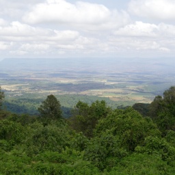 tansania_sansibar_2015_126