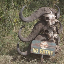 tansania_sansibar_2015_140