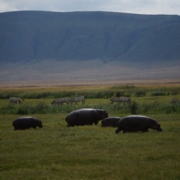 tansania_sansibar_2015_144