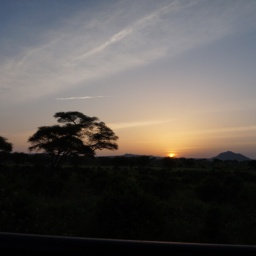 tansania_sansibar_2015_41