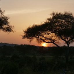 tansania_sansibar_2015_44