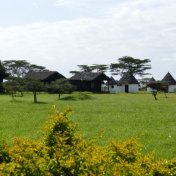 tansania_sansibar_2015_5