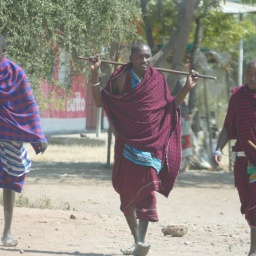 tansania_sansibar_2015_59