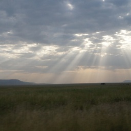 tansania_sansibar_2015_71