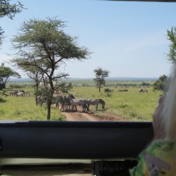 tansania_sansibar_2015_82