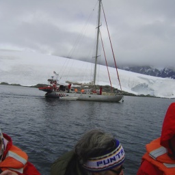 segelboot_antarktis