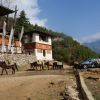bhutan_19