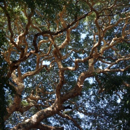 myanmar_burma_rundreise_2014_8