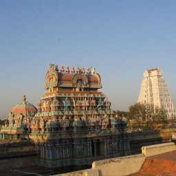 indien_sueden_ceylon16