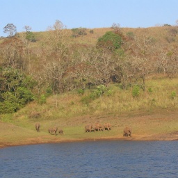 indien_sueden_ceylon21