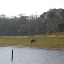 indien_sueden_ceylon22