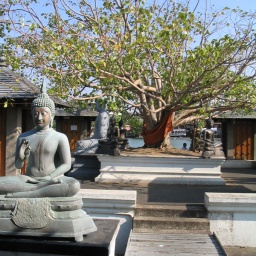 indien_sueden_ceylon23