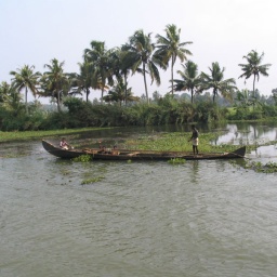 indien_sueden_ceylon26