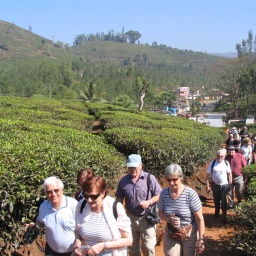 indien_sueden_ceylon28