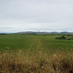 neuseeland_rundreise_101