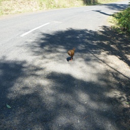 neuseeland_rundreise_105