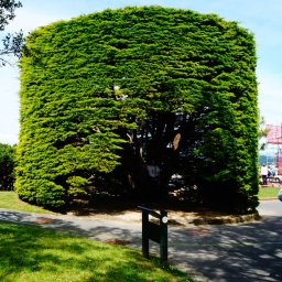 neuseeland_rundreise_125