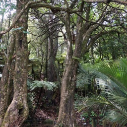 neuseeland_rundreise_143