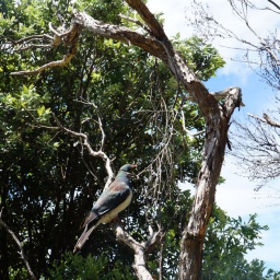 neuseeland_rundreise_147