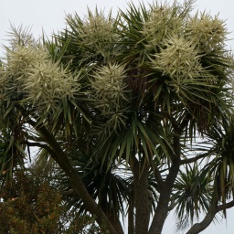 neuseeland_rundreise_33