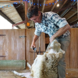 neuseeland_rundreise_34