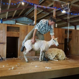 neuseeland_rundreise_35