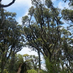 neuseeland_rundreise_70