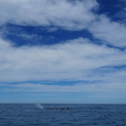 neuseeland_rundreise_93