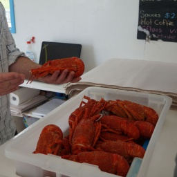 neuseeland_rundreise_97