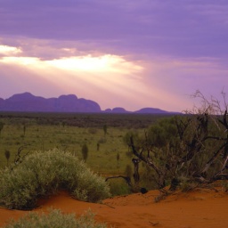 abend-in-ayers-rock-6