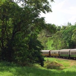 kuranda-railway-5