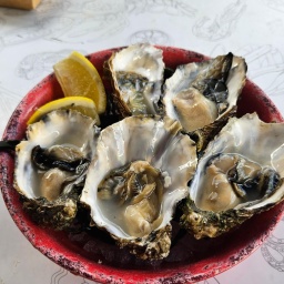 ostfriesland_reise_13