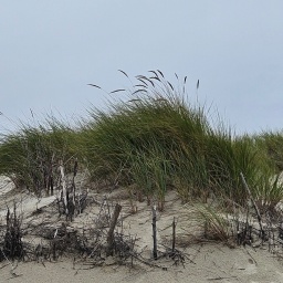 ostfriesland_reise_33