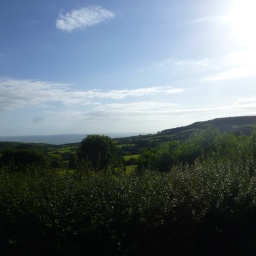 suedengland_rundreise_2016_36