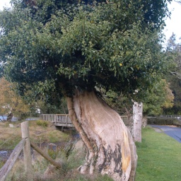 irland_rundreise_2022_34