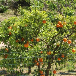 apulien_rundreise_2016_17