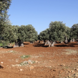 apulien_rundreise_2016_22