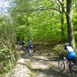 gardasee_radfahren_2017_26